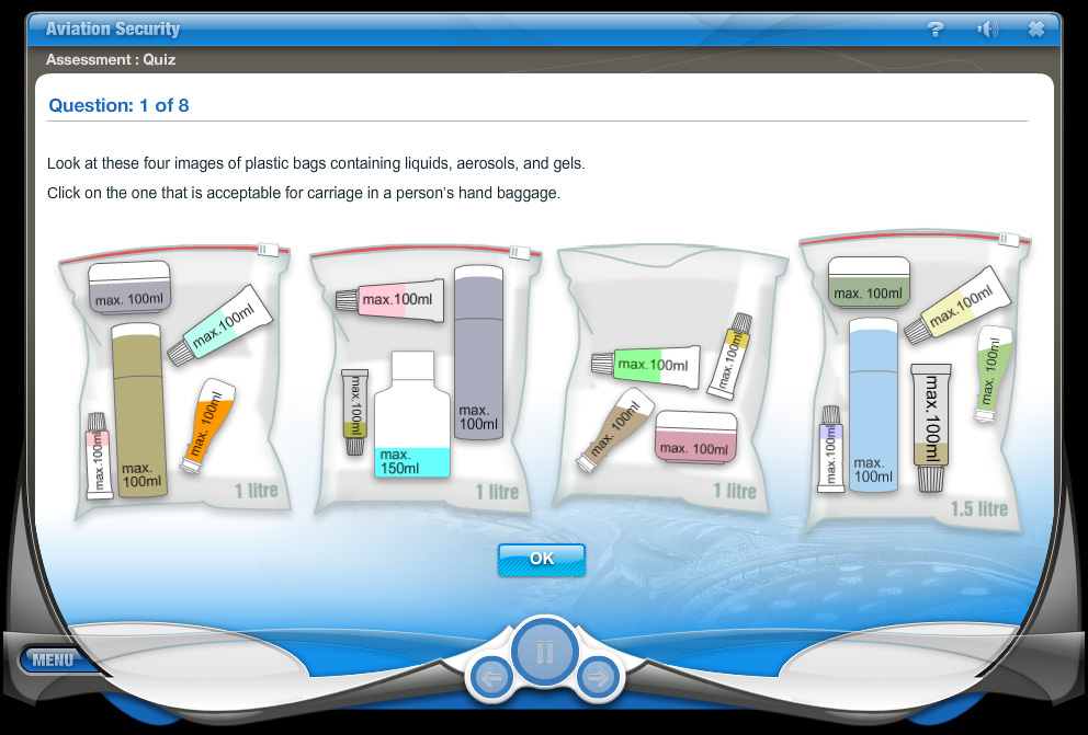 Aviation Security (click image to enlarge)